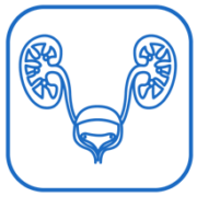 Kidney, ureteral and bladder stone treatment